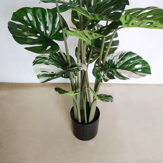 Monstera 48"H, potted By Gold Leaf Design Group | Planters, Troughs & Cachepots | Modishstore