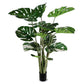 Monstera 48"H, potted By Gold Leaf Design Group | Planters, Troughs & Cachepots |  Modishstore - 2