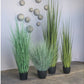Grass, Potted Bear, 45"H by Gold Leaf Design Group | Botanicals | Modishstore-2