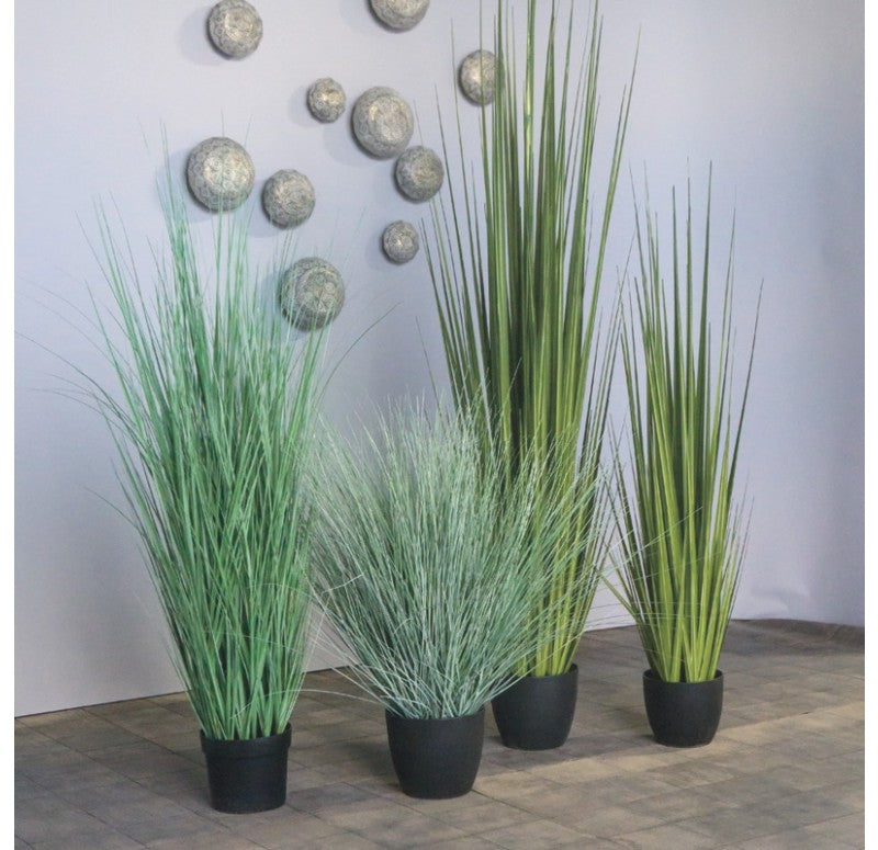 Grass, Potted Bear, 45"H by Gold Leaf Design Group | Botanicals | Modishstore - 2