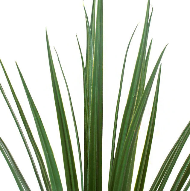 Movable Partition Wall With Liriope Planter By Gold Leaf Design Group | Planters, Troughs & Cachepots | Modishstore - 3