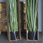 LC Cane 65"H Grass Potted By Gold Leaf Design Group | Planters, Troughs & Cachepots |  Modishstore - 6