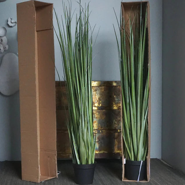 LC Cane 65"H Grass Potted By Gold Leaf Design Group | Planters, Troughs & Cachepots |  Modishstore - 7