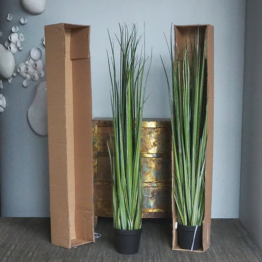 LC Cane 65"H Grass Potted By Gold Leaf Design Group | Planters, Troughs & Cachepots | Modishstore