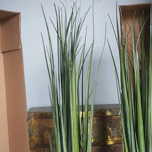 LC Cane 65"H Grass Potted By Gold Leaf Design Group | Planters, Troughs & Cachepots |  Modishstore - 4