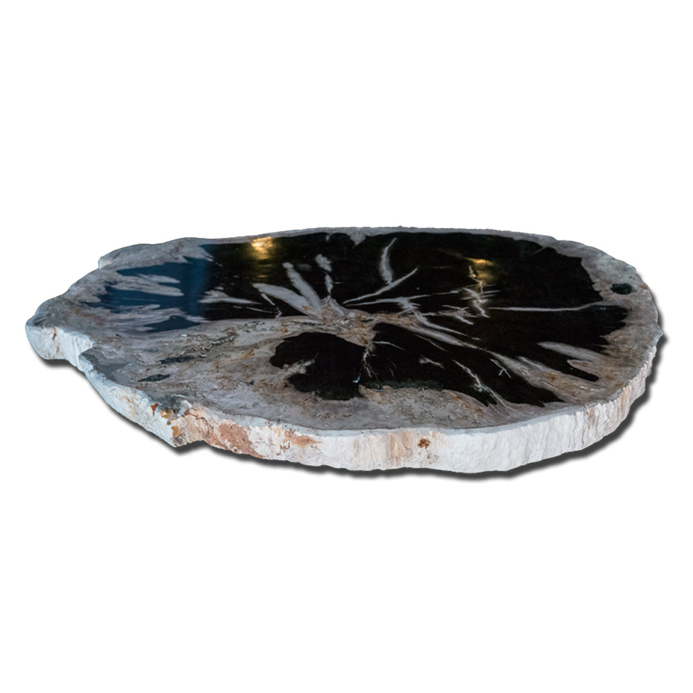 PF-1113 Petrified Wood Slab With Custom Made Base by AIRE Furniture-4