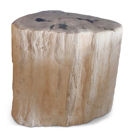 Petrified Wood Log Stool PF-2034 by Aire Furniture | Petrified Wood Stools | Modishstore