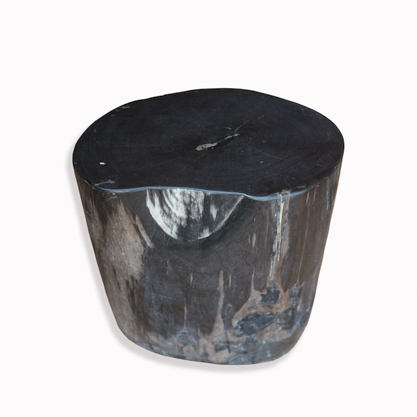 Petrified Wood Stool PF-2093 by Aire Furniture | Petrified Wood Stools | Modishstore