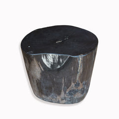 Petrified Wood Stool PF-2093 by Aire Furniture