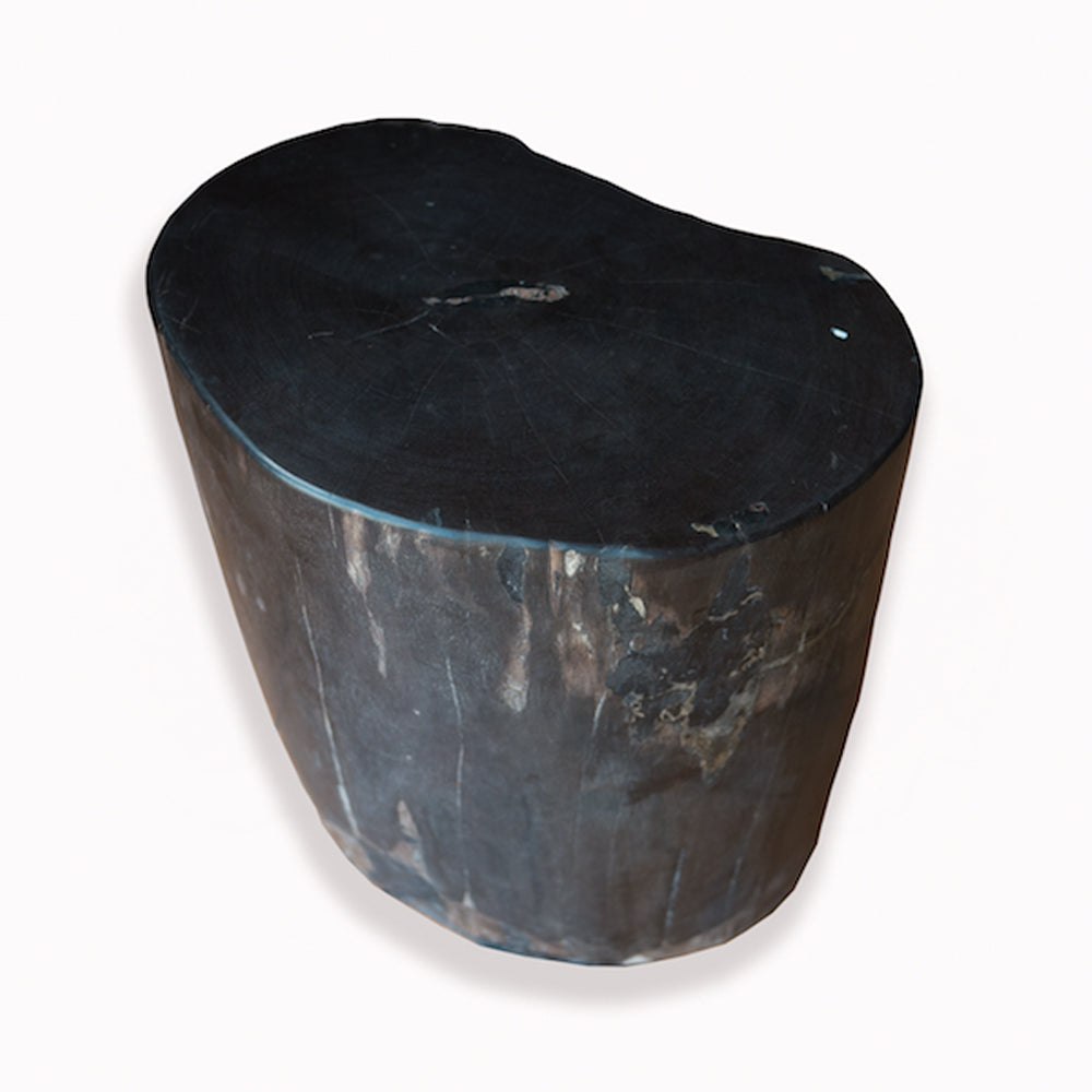 Petrified Wood Stool PF-2093 by Aire Furniture | Petrified Wood Stools | Modishstore - 2