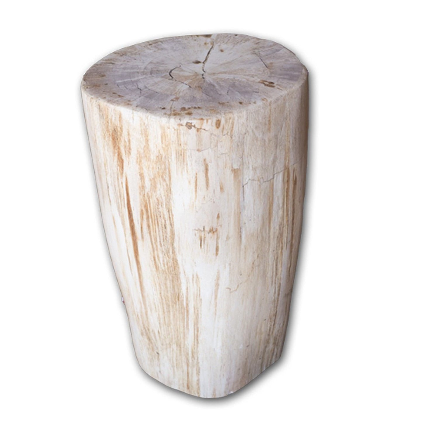 Petrified Wood Log Stool PF-2096 by Aire Furniture | Petrified Wood Stools | Modishstore
