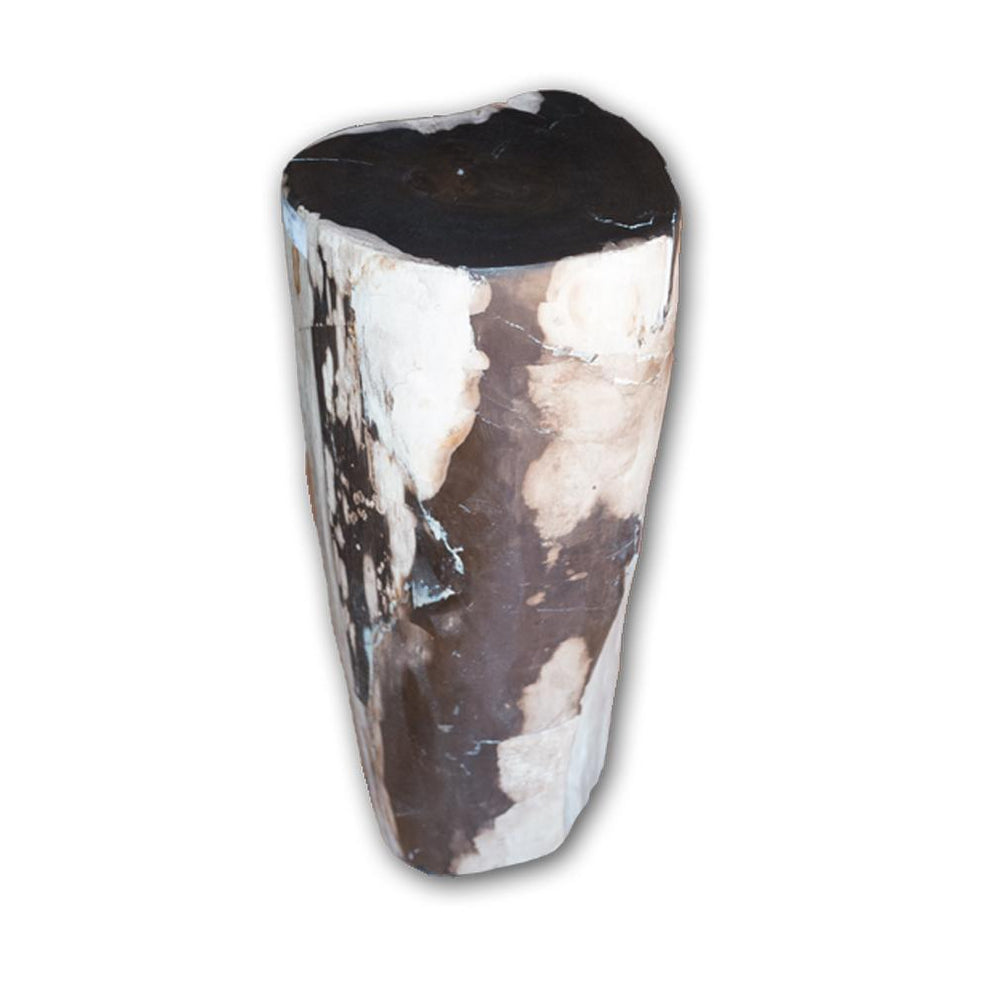 Petrified Wood Log Stool PF-2102 by Aire Furniture | Petrified Wood Stools | Modishstore - 3