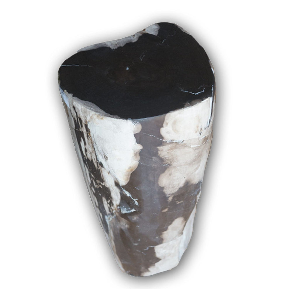 Petrified Wood Log Stool PF-2102 by Aire Furniture | Petrified Wood Stools | Modishstore - 2