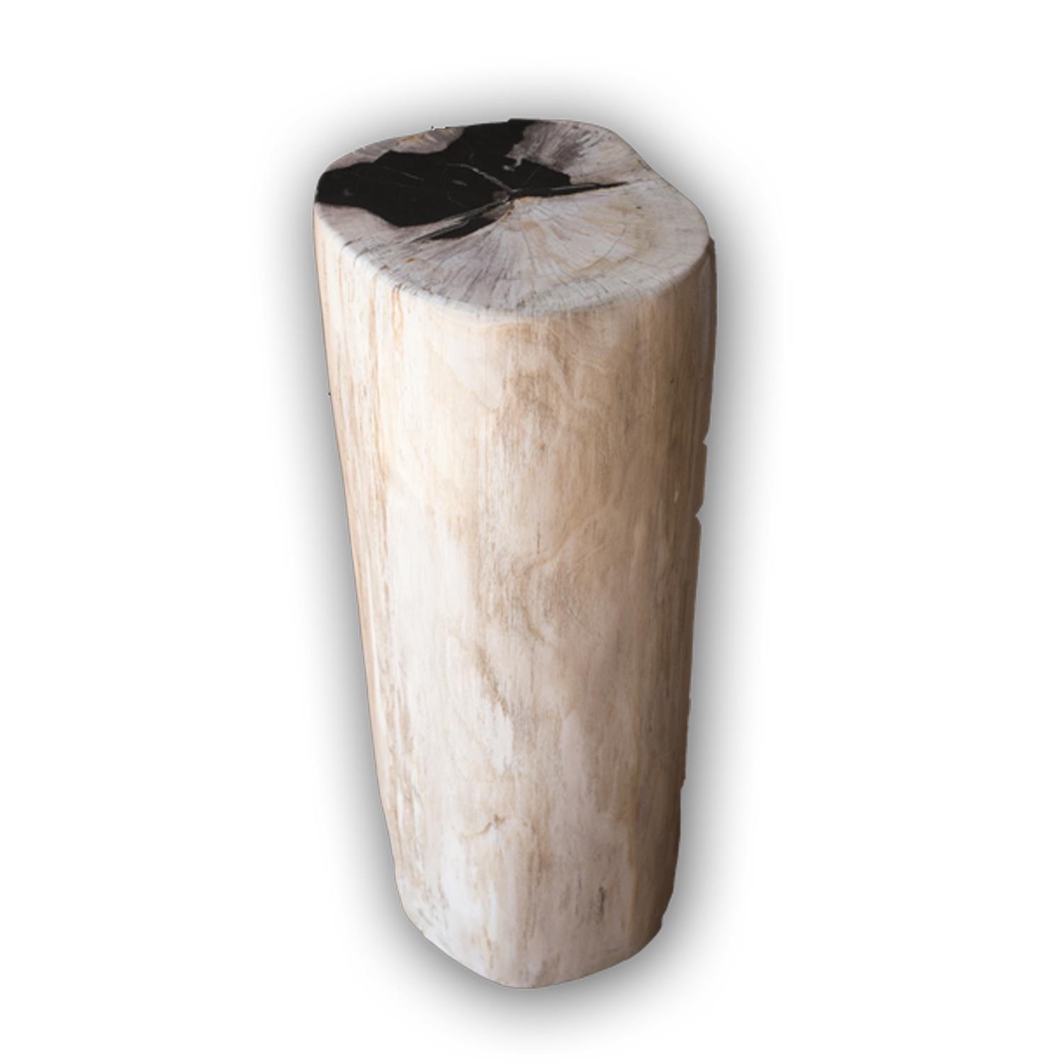 Petrified Wood Log Stool PF-2103 by Aire Furniture | Petrified Wood Stools | Modishstore