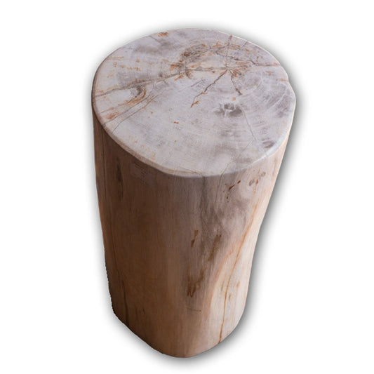 Petrified Wood Log Stool PF-2105 by Aire Furniture | Petrified Wood Stools | Modishstore