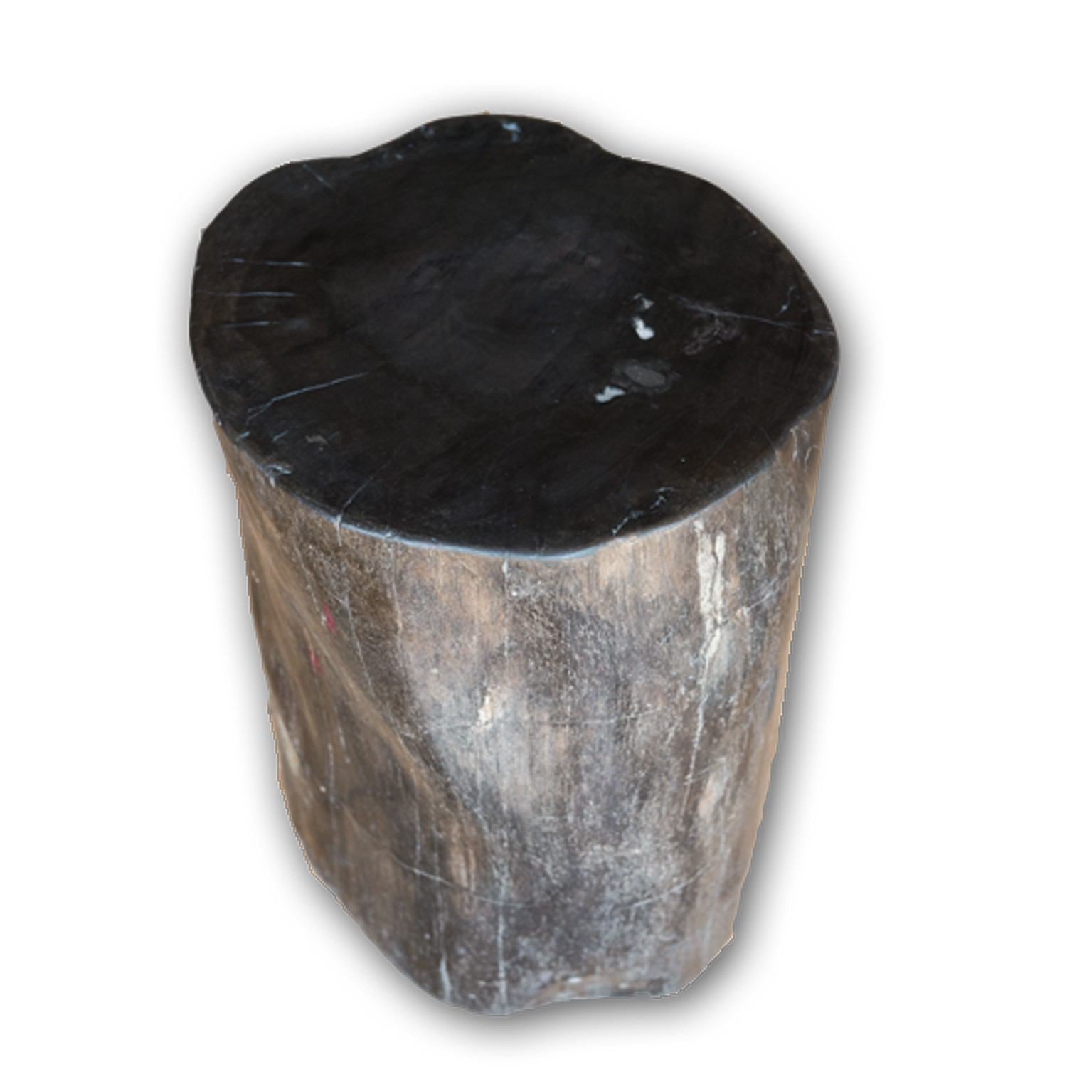 Petrified Wood Log Stool PF-2114 by Aire Furniture | Petrified Wood Stools | Modishstore