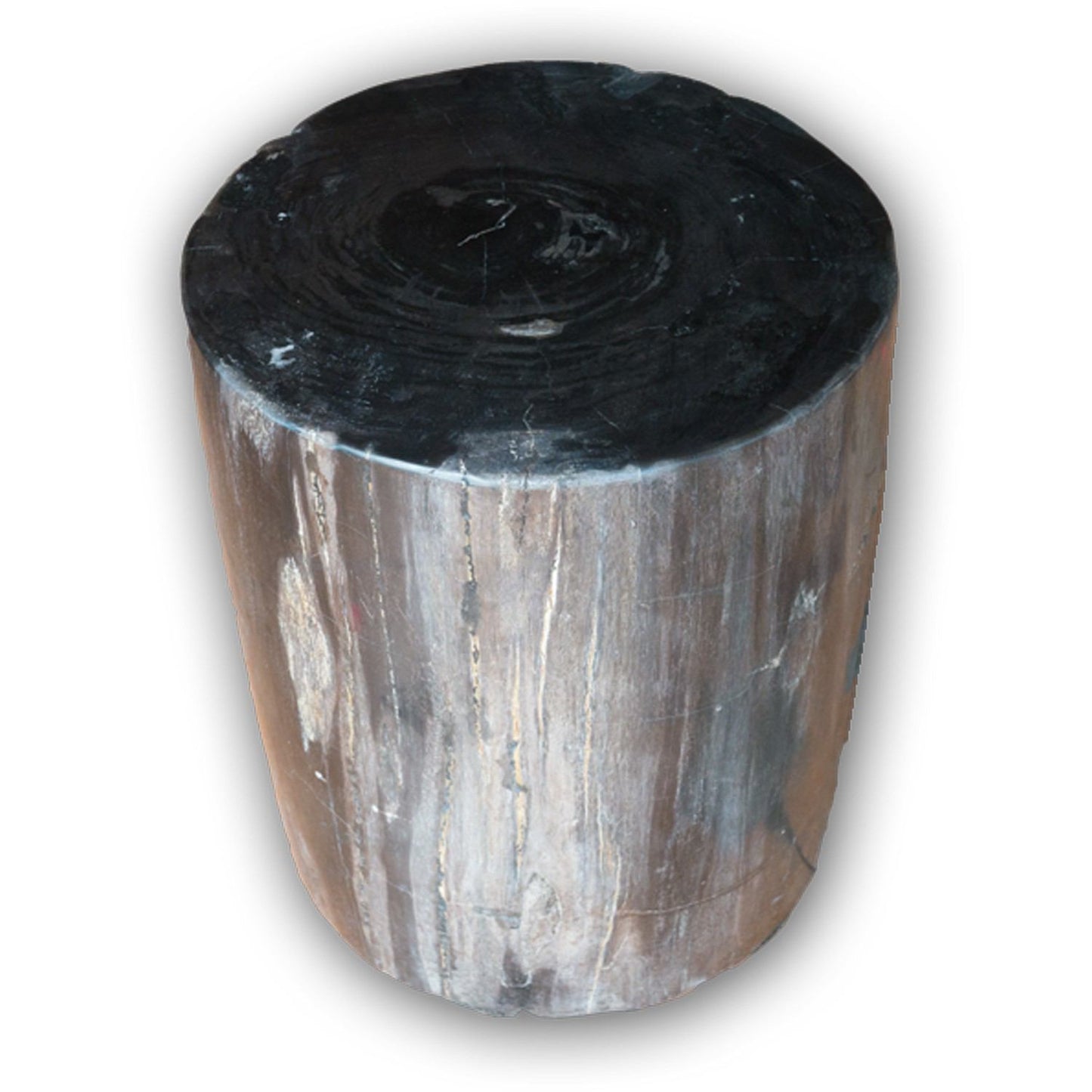 Petrified Wood Log Stool PF-2115 by Aire Furniture | Petrified Wood Stools | Modishstore