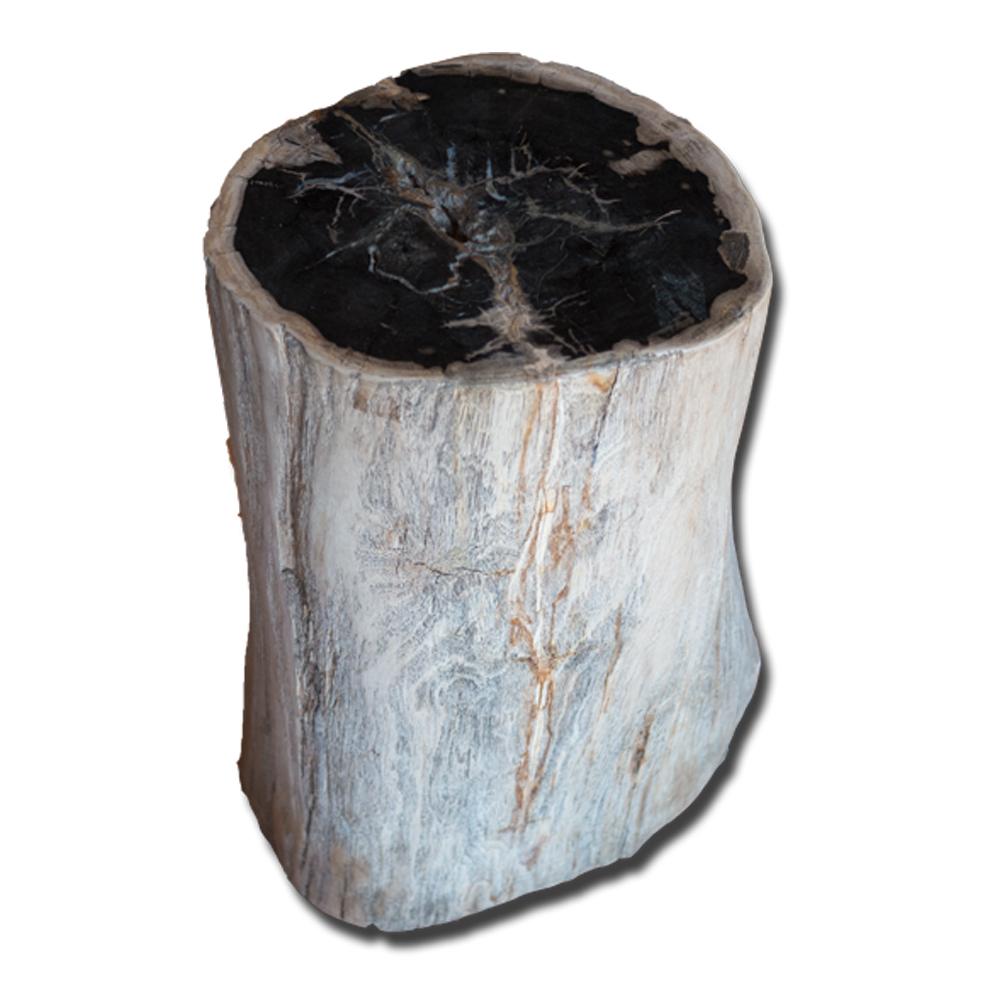 Petrified Wood Stool PF-2137 by Aire Furniture | Petrified Wood Stools | Modishstore - 2