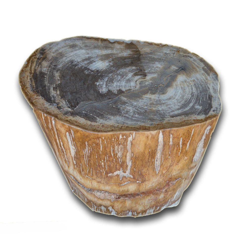 Petrified Wood Stool PF-2139 by Aire Furniture | Petrified Wood Stools | Modishstore - 2