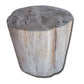 Petrified Wood Stool PF-2142 by Aire Furniture | Petrified Wood Stools | Modishstore - 2