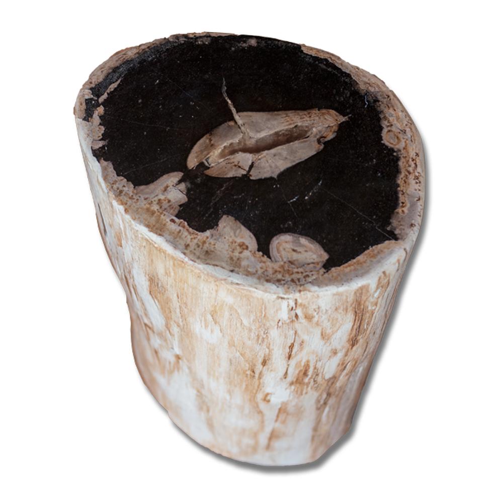 Petrified Wood Stool PF-2159 by Aire Furniture | Petrified Wood Stools | Modishstore - 3