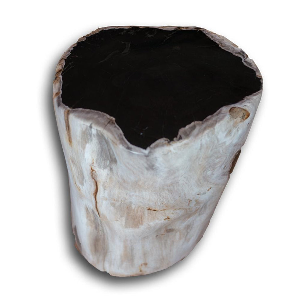 Petrified Wood Stool PF-2160 by Aire Furniture | Petrified Wood Stools | Modishstore - 2