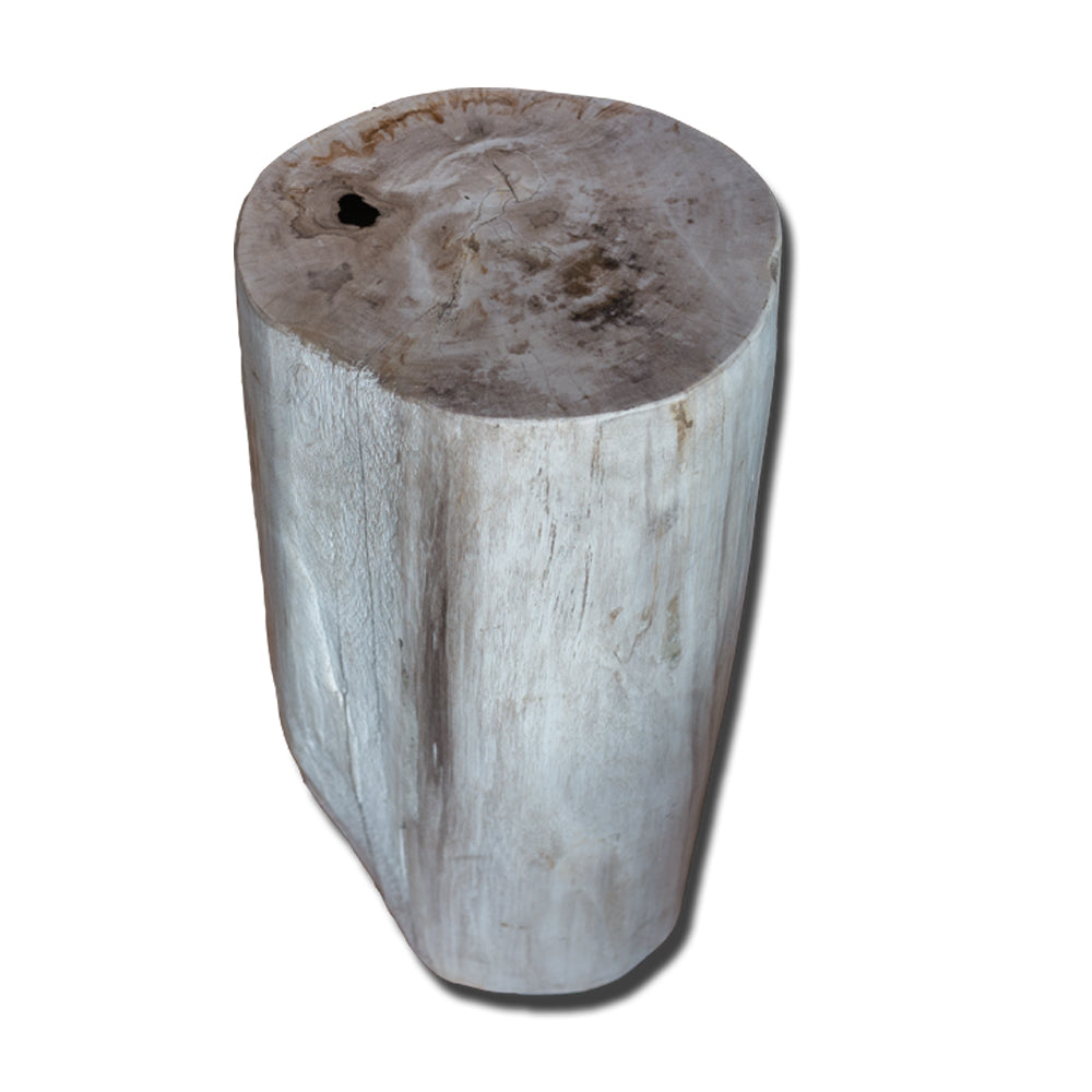 Petrified Wood Stool PF-2163 by Aire Furniture | Petrified Wood Stools | Modishstore - 2