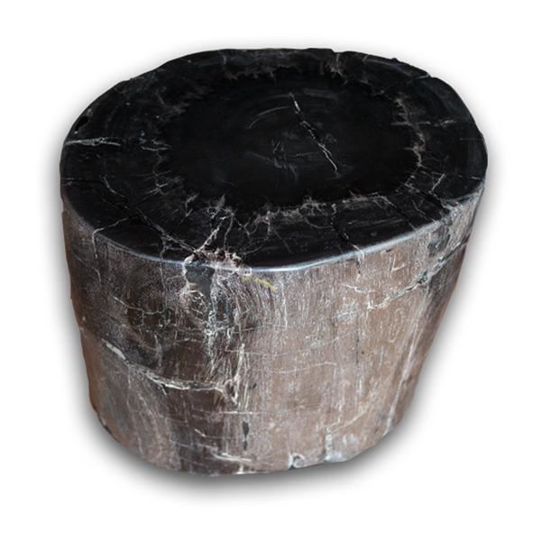 Petrified Wood Stool PF-2167 by Aire Furniture | Petrified Wood Stools | Modishstore - 2