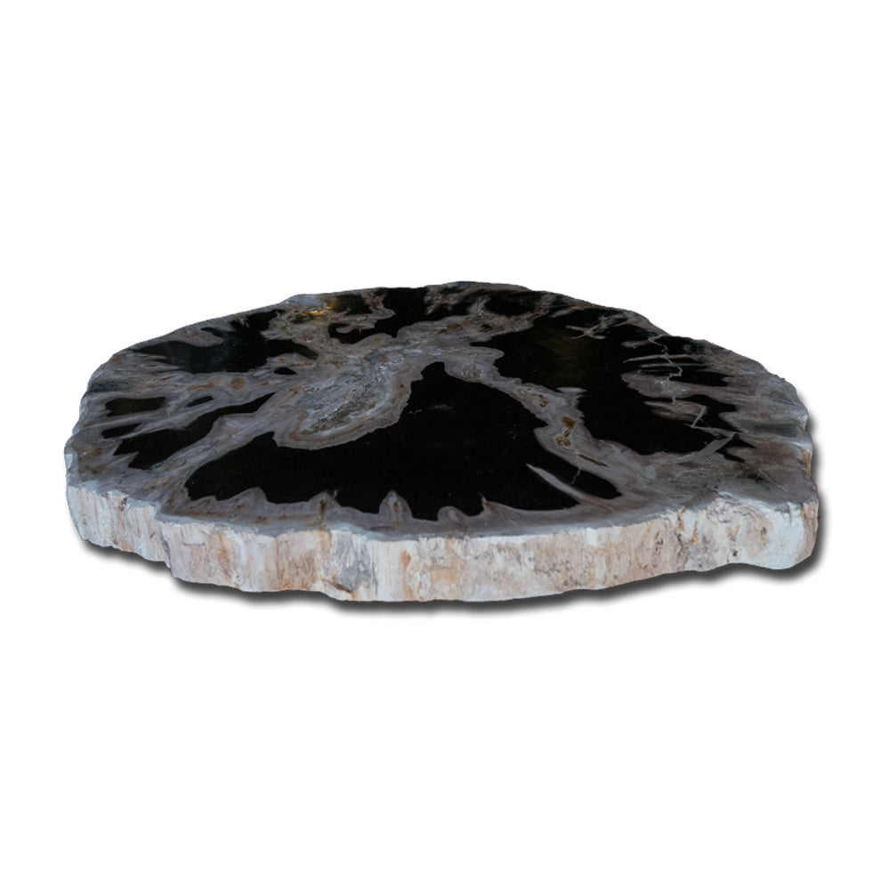 Petrified Wood Slab- 20" x 17"- with Custom Made Base- PF1106 -Coffee Table/ Side Table-5