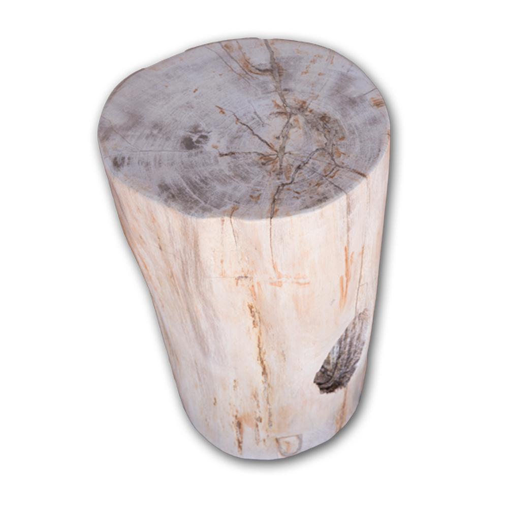 Petrified Wood Log Stool PF-2105 by Aire Furniture | Petrified Wood Stools | Modishstore - 2