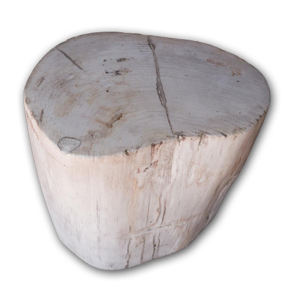 Petrified Wood Log Stool PF-2109 by Aire Furniture | Petrified Wood Stools | Modishstore - 2
