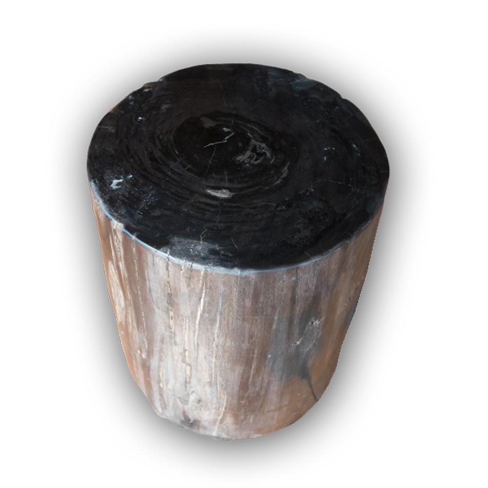 Petrified Wood Log Stool PF-2115 by Aire Furniture | Petrified Wood Stools | Modishstore - 3
