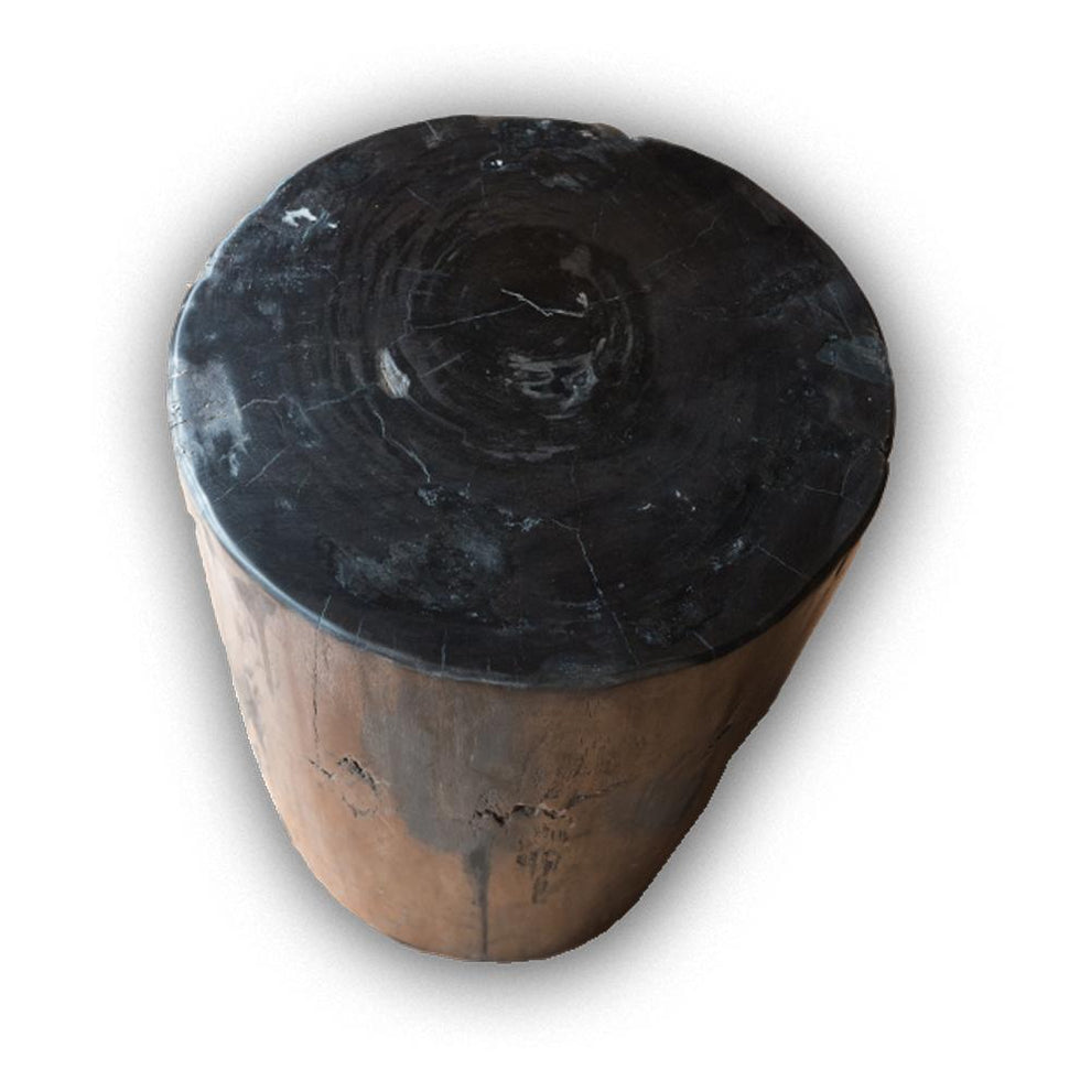 Petrified Wood Log Stool PF-2115 by Aire Furniture | Petrified Wood Stools | Modishstore - 2