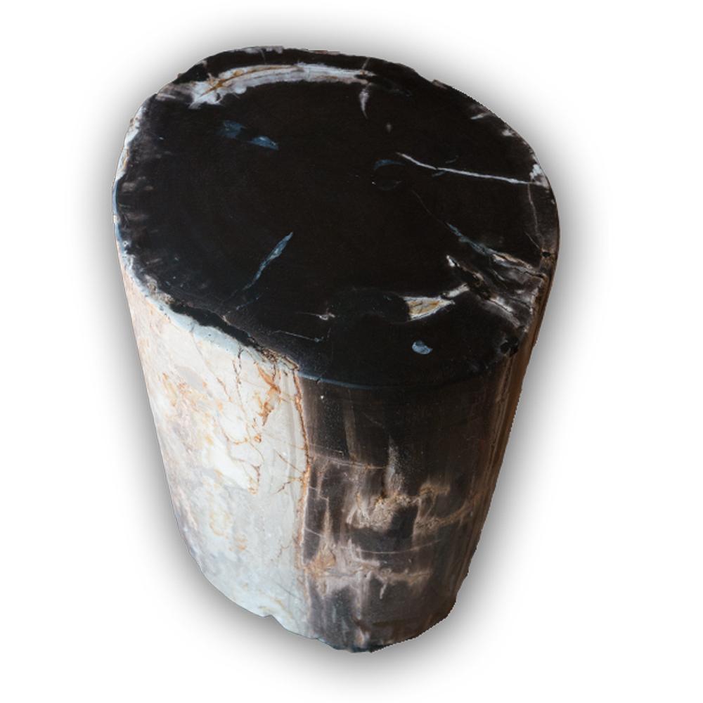 Petrified Wood Log Stool PF-2116 by Aire Furniture | Petrified Wood Stools | Modishstore - 2
