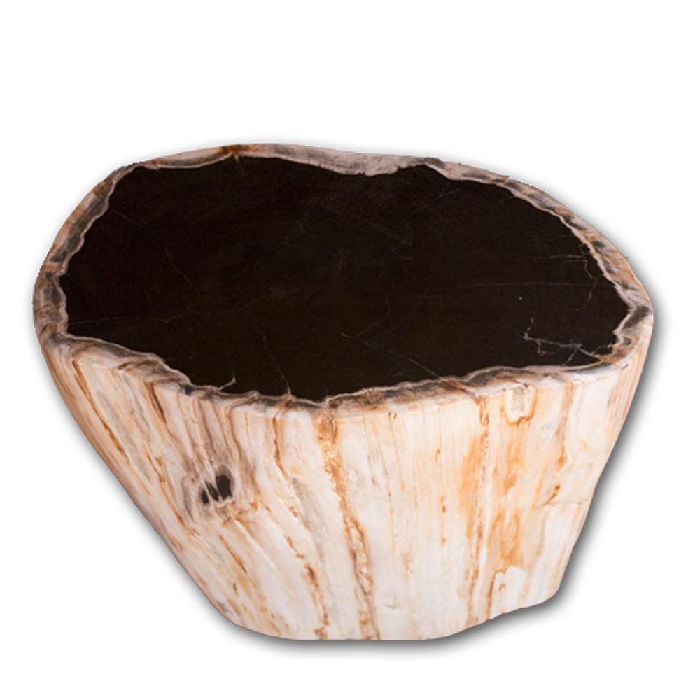 Petrified Wood Accent Stool- Cream/Black Core Rare Side Table by Aire Furniture | Petrified Wood Stools | Modishstore - 3