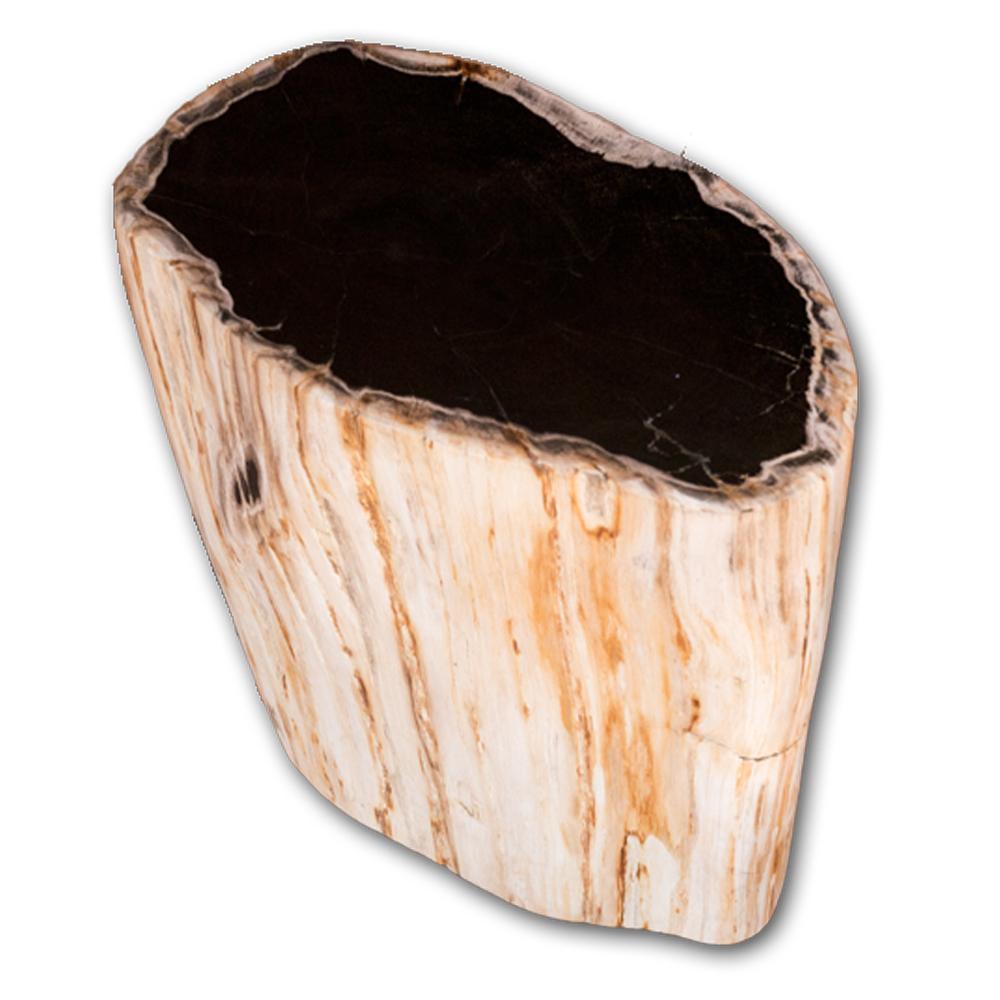 Petrified Wood Accent Stool- Cream/Black Core Rare Side Table by Aire Furniture | Petrified Wood Stools | Modishstore - 2