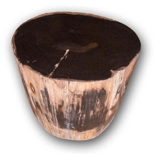 Petrified Wood Accent Stool- Rare Ivory Ring/Black Core Side Table by Aire Furniture | Petrified Wood Stools | Modishstore