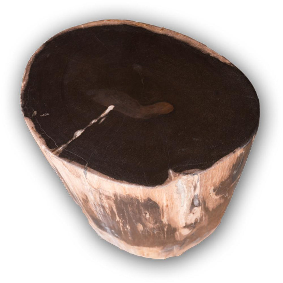 Petrified Wood Accent Stool- Rare Ivory Ring/Black Core Side Table by Aire Furniture | Petrified Wood Stools | Modishstore - 2