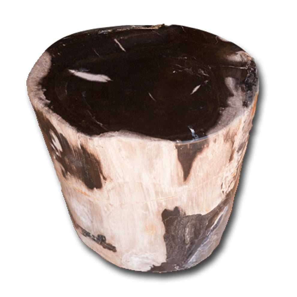 Petrified Wood Log Stool PF-2128 by Aire Furniture | Petrified Wood Stools | Modishstore - 4