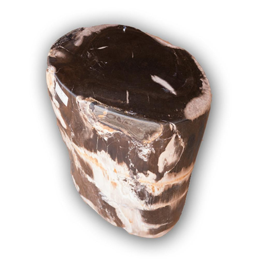 Petrified Wood Log Stool PF-2128 by Aire Furniture | Petrified Wood Stools | Modishstore - 3
