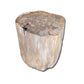 Petrified Wood Stool PF-2131 by Aire Furniture | Petrified Wood Stools | Modishstore - 2