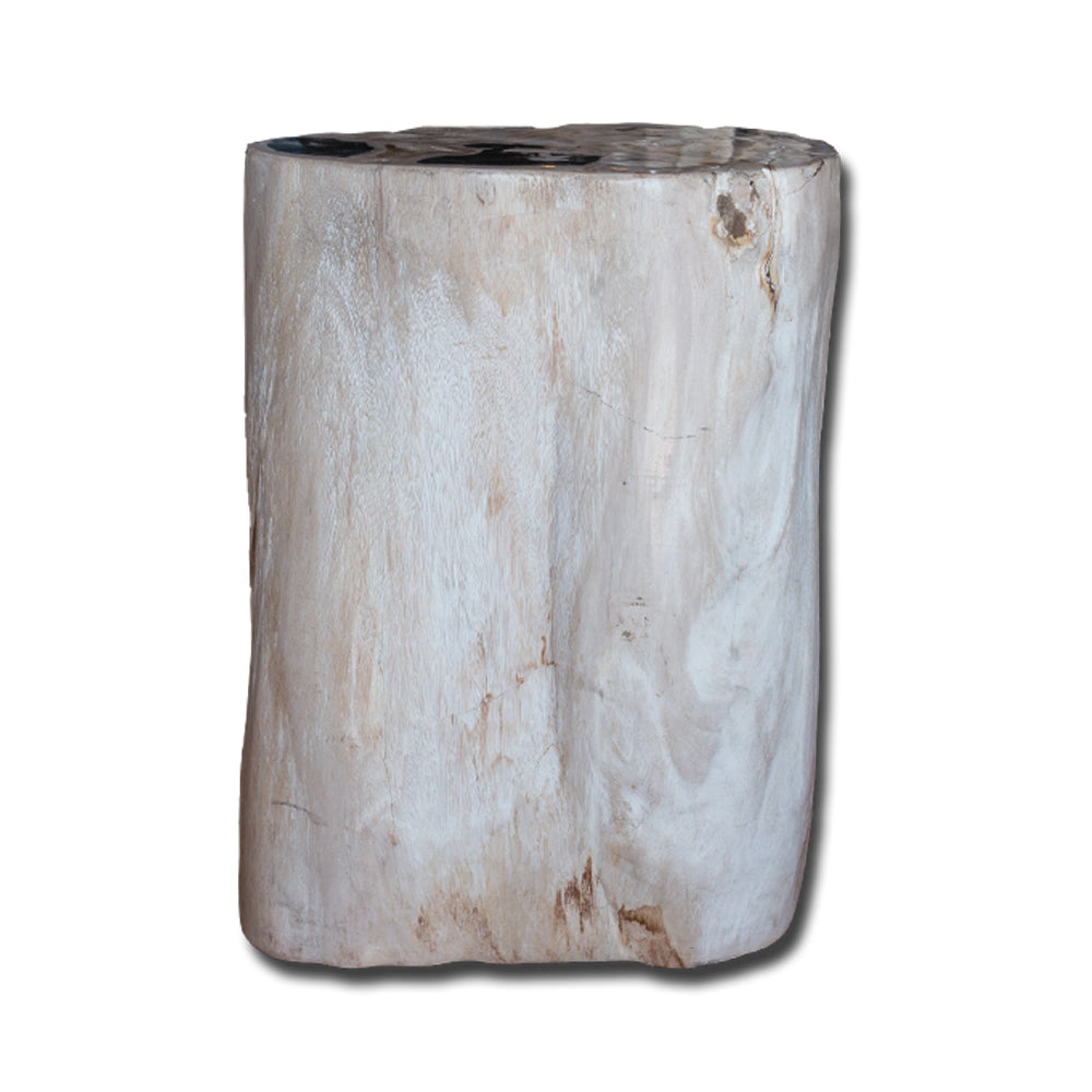 Petrified Wood Stool PF-2134 by Aire Furniture | Petrified Wood Stools | Modishstore - 3