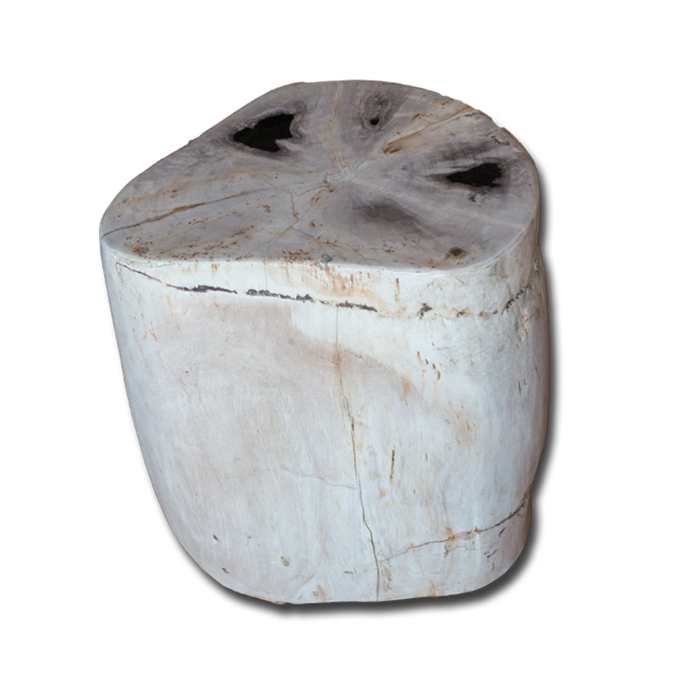 Petrified Wood Stool PF-2134 by Aire Furniture | Petrified Wood Stools | Modishstore - 2