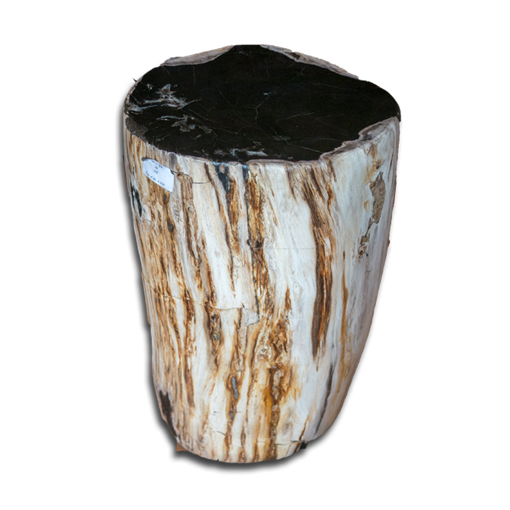Petrified Wood Stool PF-2135 by Aire Furniture | Petrified Wood Stools | Modishstore - 2