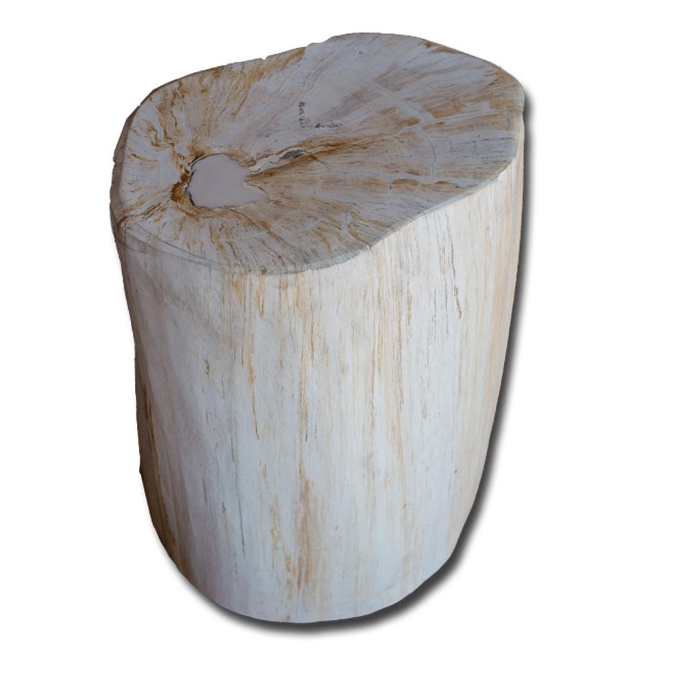Petrified Wood Stool PF-2145 by Aire Furniture | Petrified Wood Stools | Modishstore - 3