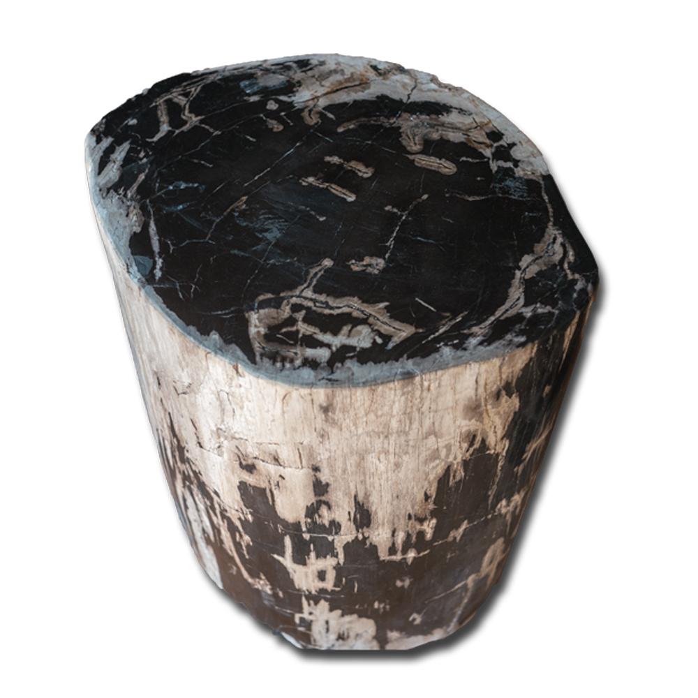 Petrified Wood Stool PF-2154 by Aire Furniture | Petrified Wood Stools | Modishstore - 3