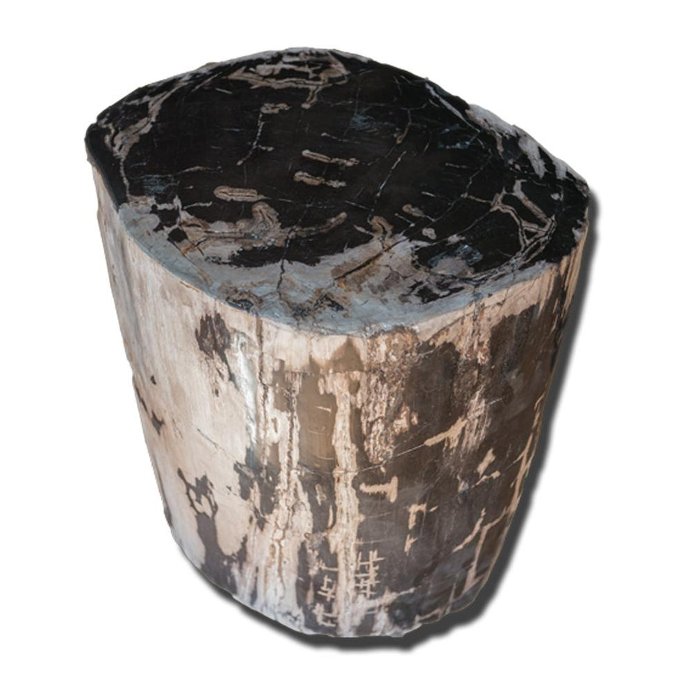 Petrified Wood Stool PF-2154 by Aire Furniture | Petrified Wood Stools | Modishstore - 2