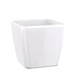 LC Plastic Planter Sqr Short W By Gold Leaf Design Group | Planters, Troughs & Cachepots | Modishstore - 5