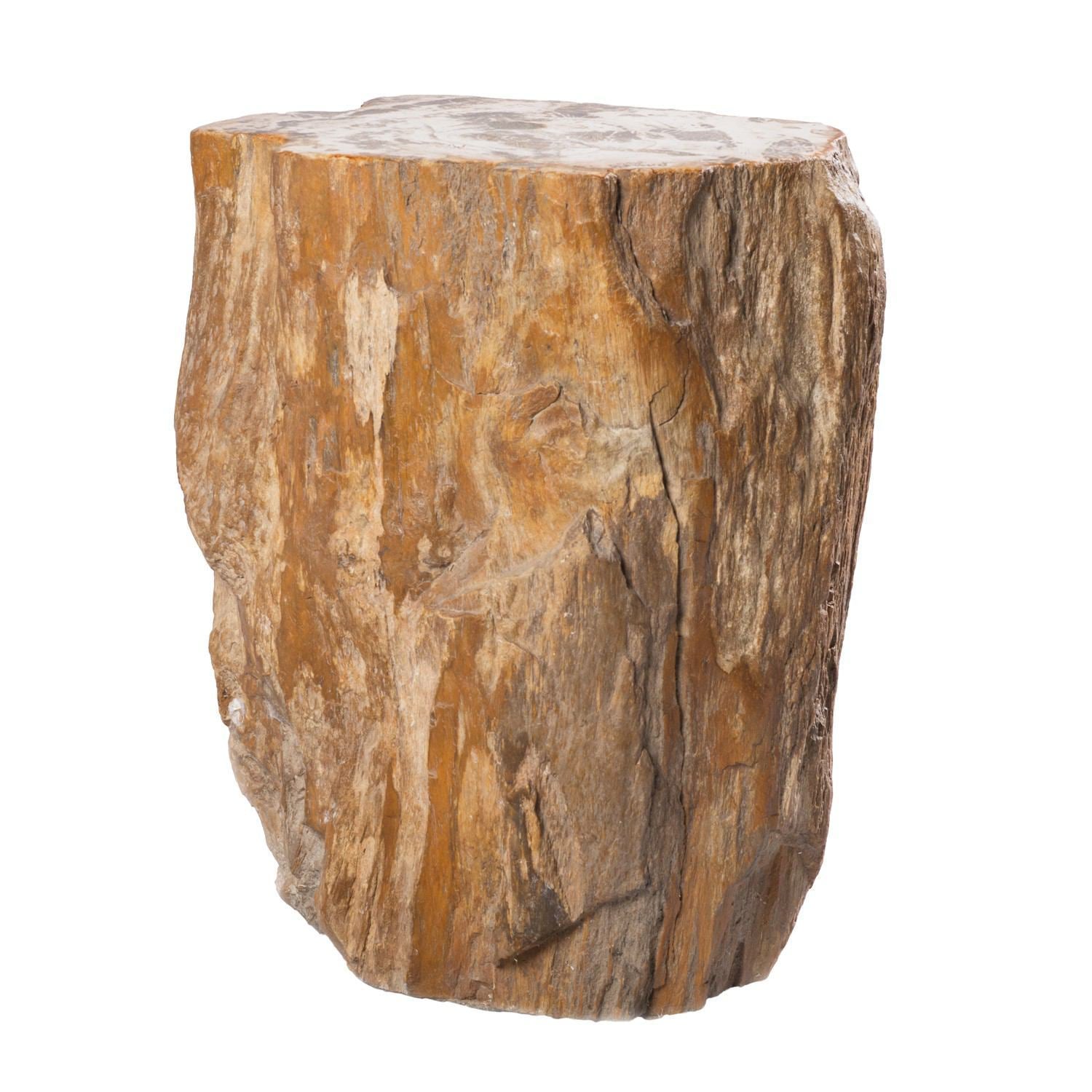 Petrified Wood Stool PF-1010 by AIRE Furniture | ModishStore | Petrified Wood Stool
