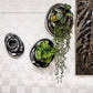 Velocity 11"L Wall Planter/Art By Gold Leaf Design Group | Planters, Troughs & Cachepots | Modishstore - 2